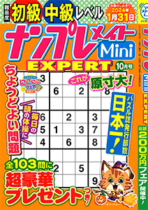 ナンプレメイトMini EXPERT