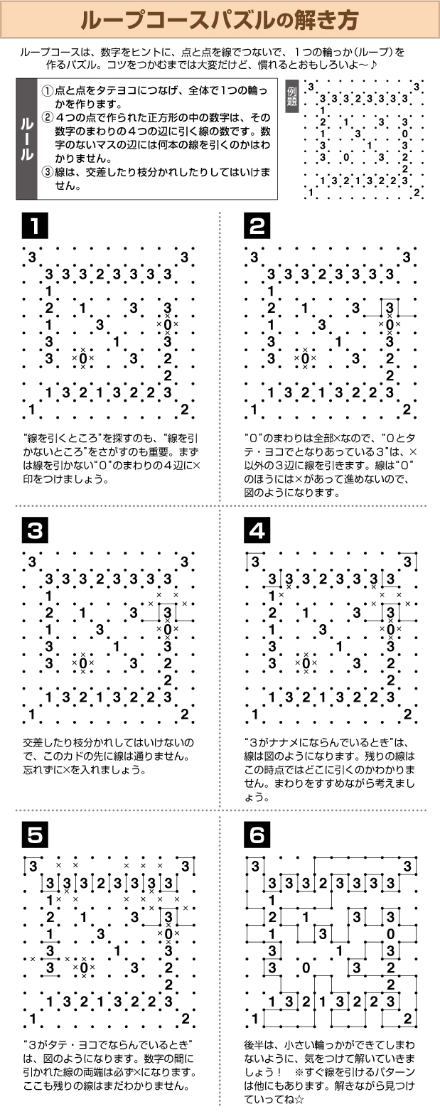 ループコースパズル パズルの解き方 パズルメイト 株 マガジン マガジンのパズル誌総合サイト